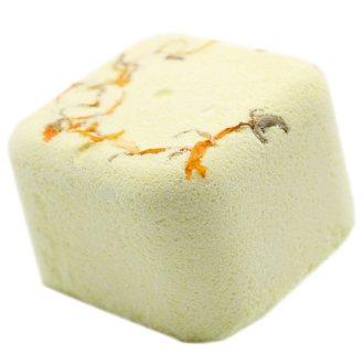 fbss1